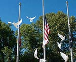 flags and doves